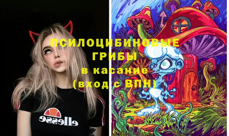 Галлюциногенные грибы Psilocybe  где можно купить   Пятигорск 